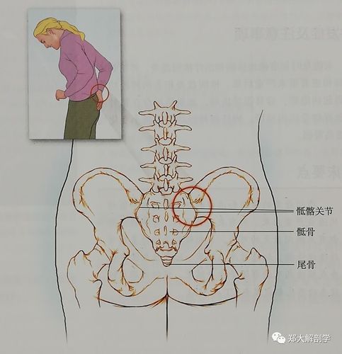 六种引起腰椎和骶髂关节的疼痛综合征