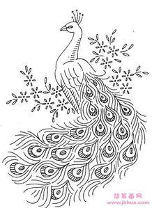 漂亮羽毛的孔雀简笔画