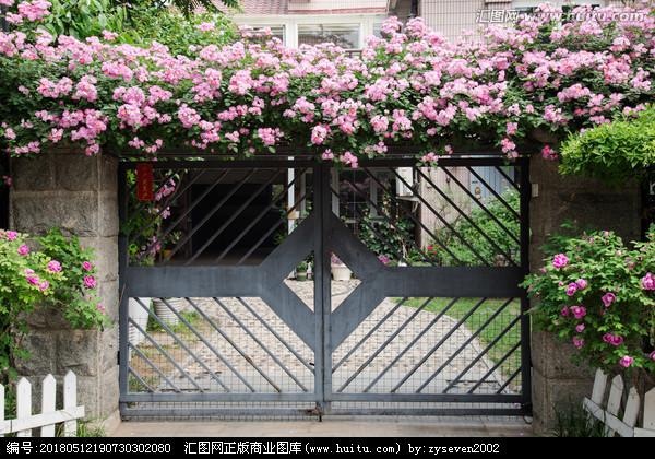 庭院大门 蔷薇花 (4)