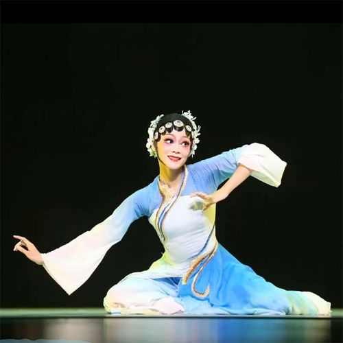 新款桃李杯古典舞蹈服锦瑟剧目同款演出服飘逸练功艺考服表演服女