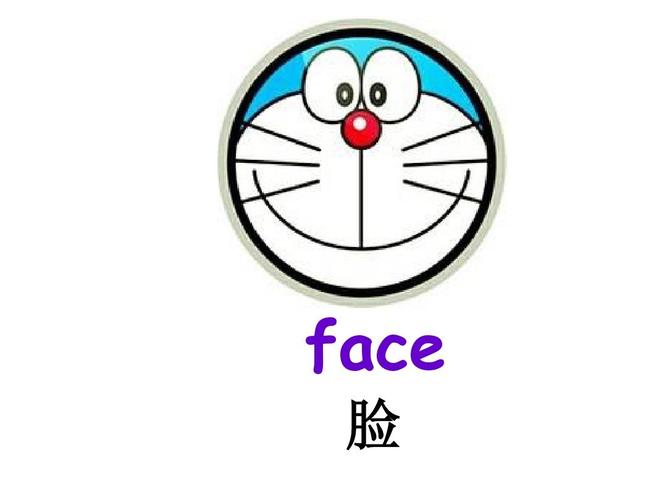 face 脸