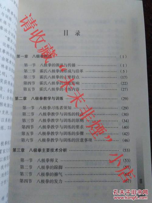 八极拳教程 霍式八极拳传统训练方法揭秘 李树栋 2009