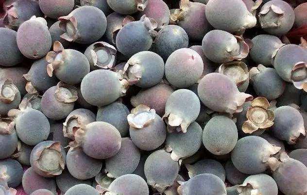 小时候常吃的"捻子",你还记得吗?现在几乎见不到了