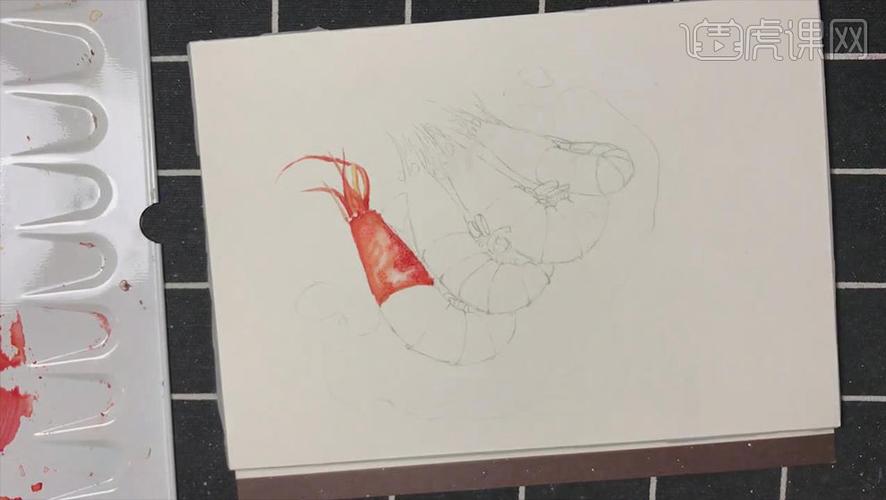 水彩-油焖大虾-零基础也能学的手绘插画