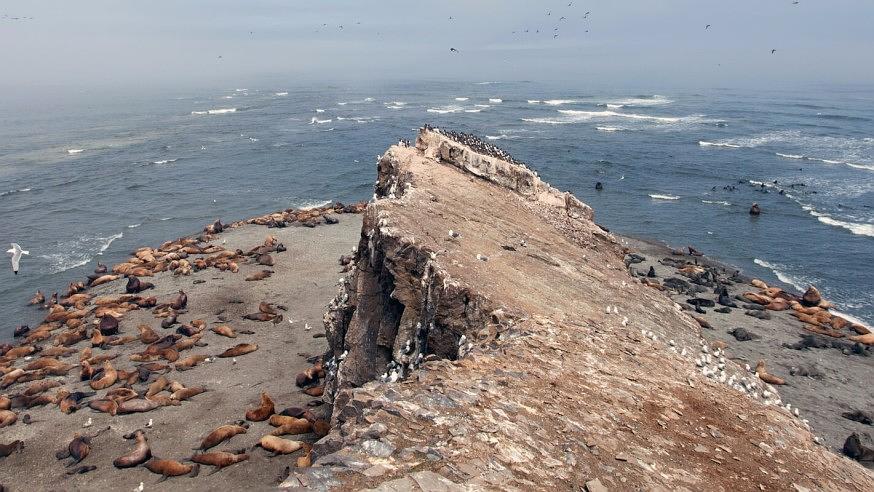 俄国 弗兰格尔岛自然保护区