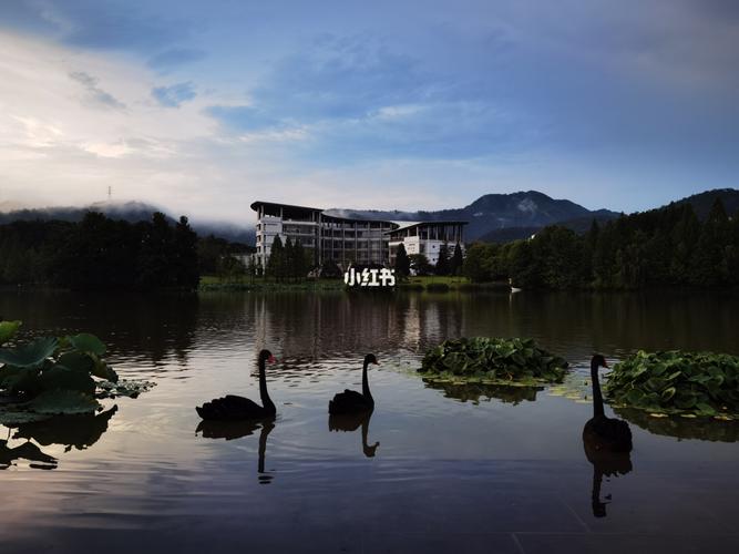 浙江农林大学东湖畔_东湖_浙江农林大学(东湖校区)自由行热门攻略