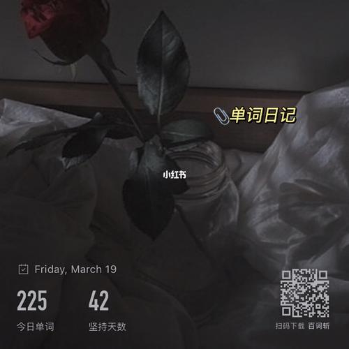 plog 浪漫至死不渝_浪漫_plog_考研_香薰_背单词_麻辣