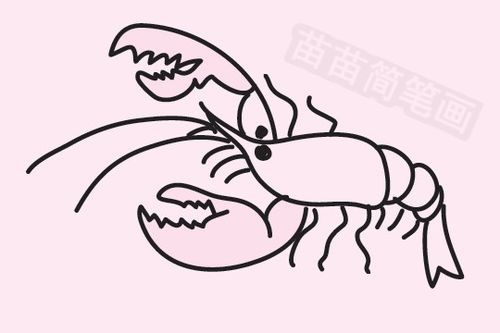 虾简笔画图片大全教程