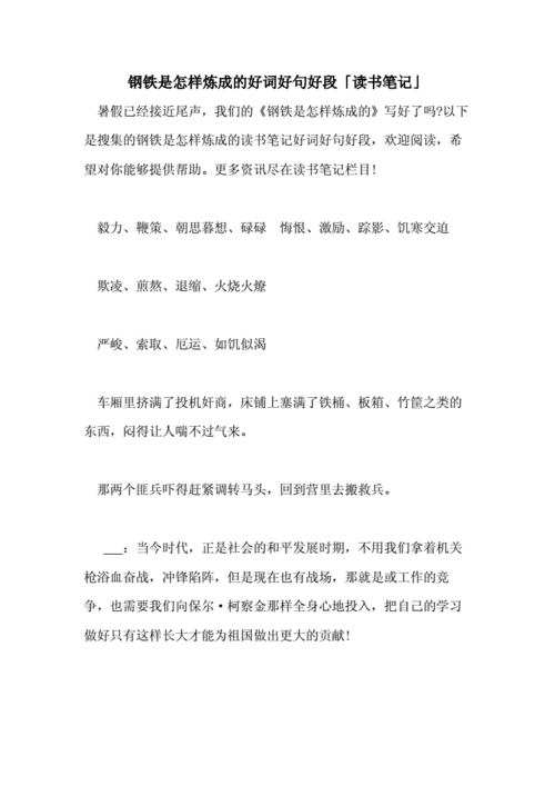 钢铁是怎样炼成的好词好句好段「读书笔记」.doc 6页