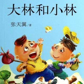 大林和小林