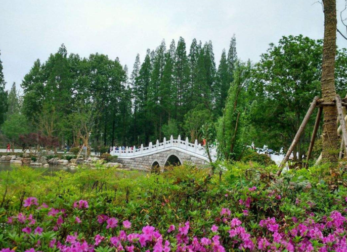 雅安景点:桃花岛公园 有人关注