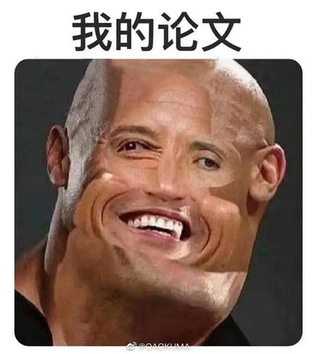 求求这个论文表情包的另一张