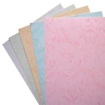 国产 彩色皮纹纸 120g-a4