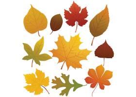 创意秋天季节叶子装饰标签矢量设计图片