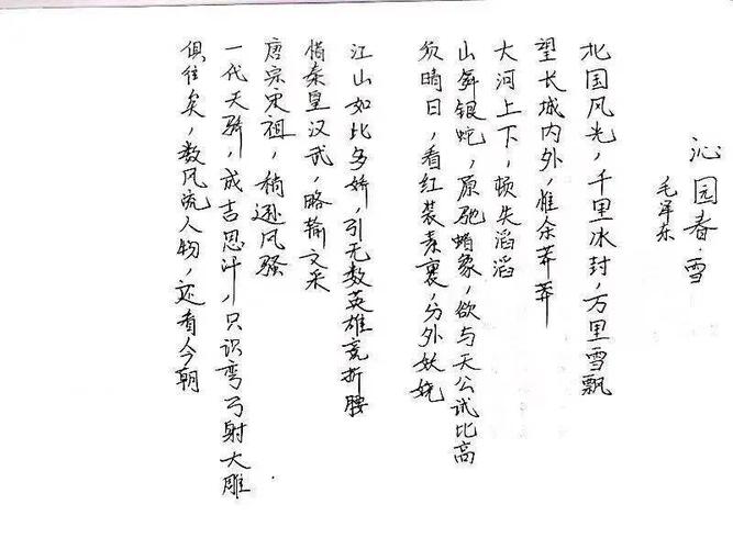 实习大学生 刘文钊