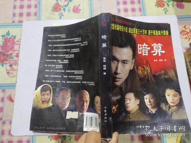 暗算:大型长篇电视小说