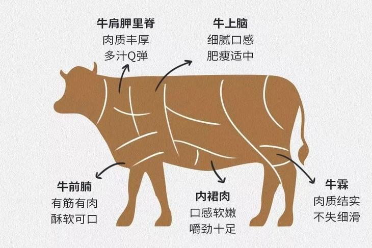 餐厅大厨选择澳洲wblack和牛的5种精华部位: 三角牛霖,牛肩胛里脊,牛