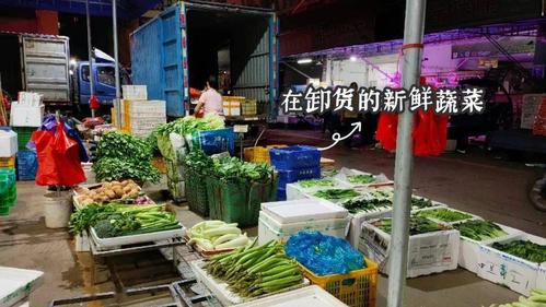 揭秘南方菜市场到底有多贴心