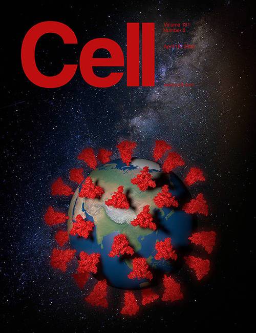 科学与艺术的结合!《cell》100 张期刊封面鉴赏|2020年篇