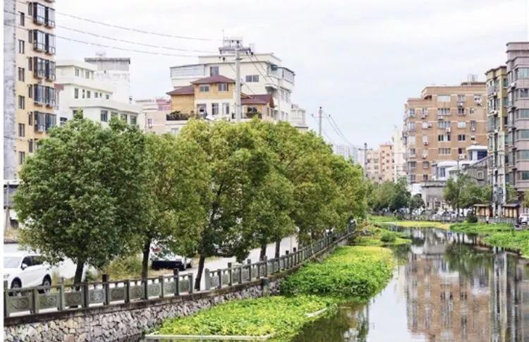 收集散落文脉,重温历史旧俗,浃东文化礼堂落成_柳市镇
