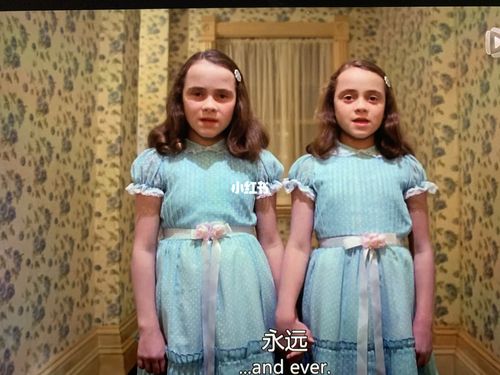 闪灵双胞胎女孩出现了_双胞胎_影视_电影(图文)