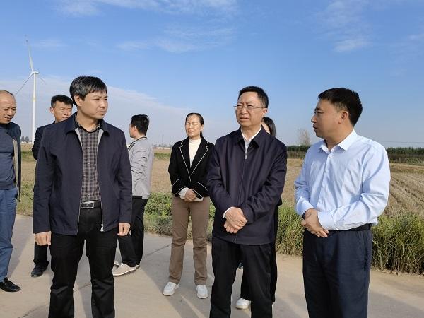 安阳市副市长刘建发调研安阳县辛村镇灾后重建工作