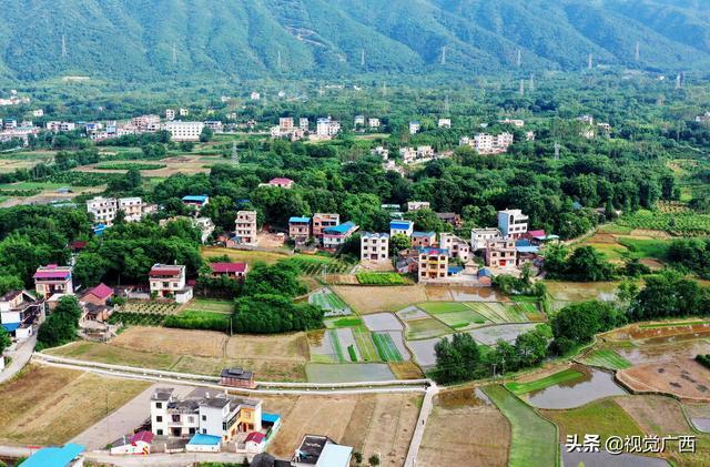 广西全州 夏日田园美|全州县|桂林市|桂北|韦荣军