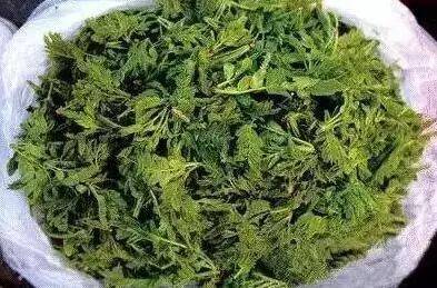 06 皂角芽 皂角芽是皂角树的嫩芽,有扫毒的功效.