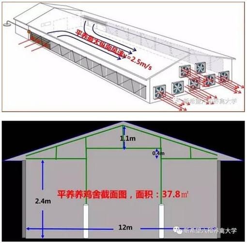 樊兴国:3万只白羽肉鸡笼养鸡舍,设计湿帘面积宜不小于