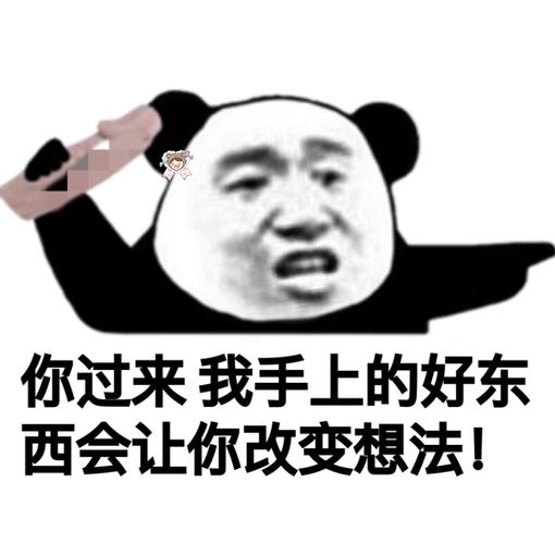 熊猫猫污污内涵表情包_污_内涵表情