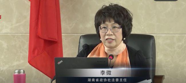 执法犯法以案谋私湖南首位女性中院院长被双开