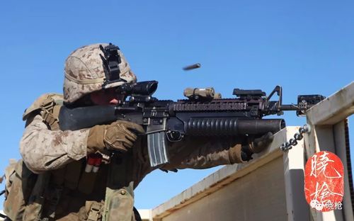 【粉丝提问】如何识别ar15/m4/m16