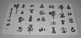 【书画】陕西书协副主席-张山【书法作品】