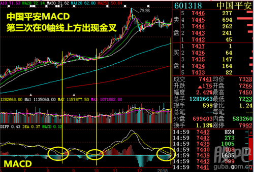 601318中国平安_历史市盈率市净率等_上市公司股票证券年报财务报表