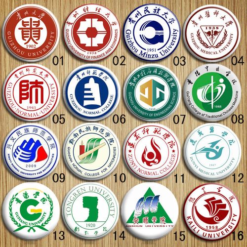 贵州兴义贵阳黔南铜仁安顺凯里中医科财经民族师范大学院校徽胸针