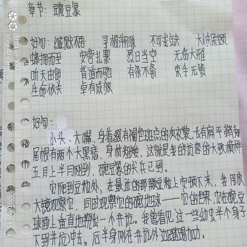 假期阅读笔记《昆虫记》