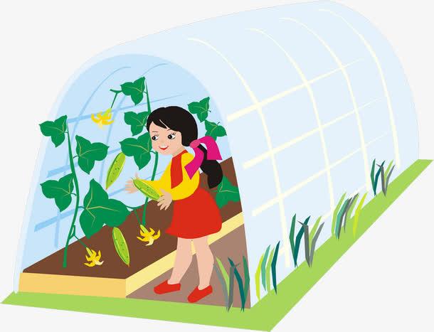 关键词 : 红色,植物,大棚,手绘