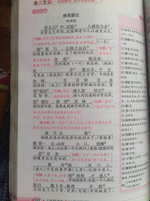 求初二《桃花源记》的翻译
