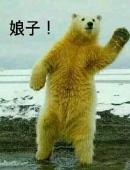 娘子啊哈娘子啊哈系列搞笑头像8p