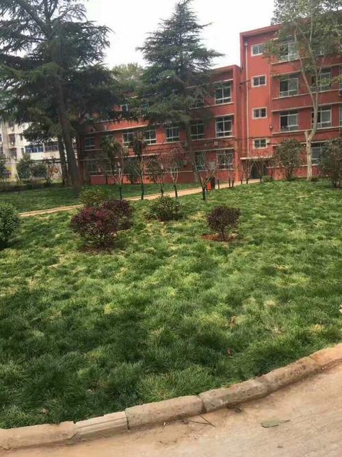 有自己 人生选择在这里 中国一拖科技学院 洛阳一拖科技学院欢迎你