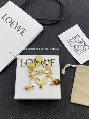 loewe罗意威轻复古彩宝胸针～_罗意威怎么