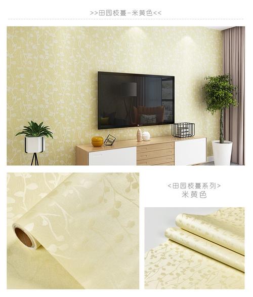 自贴墙纸自粘壁纸卧室墙纸客厅背景墙壁纸自贴家用防水防潮 浅绿蕾丝