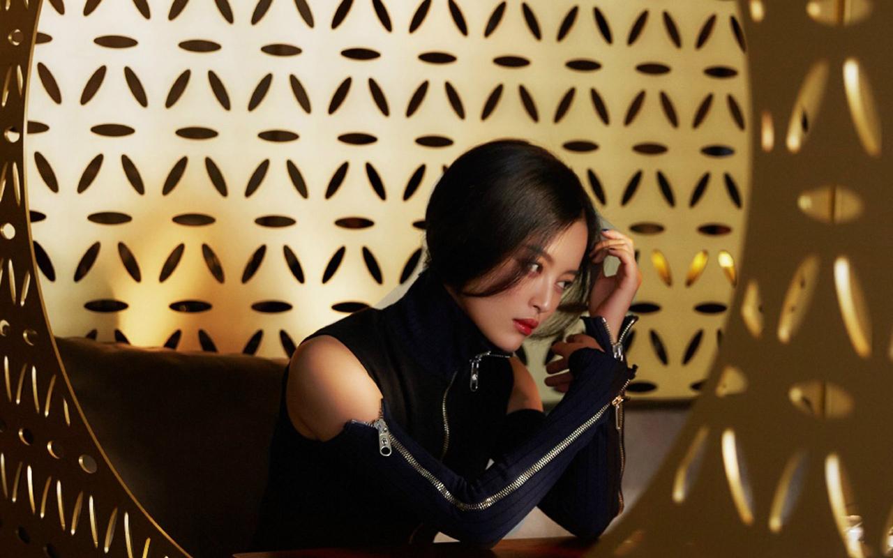 辛芷蕾魅力迷人时尚写真图片桌面壁纸