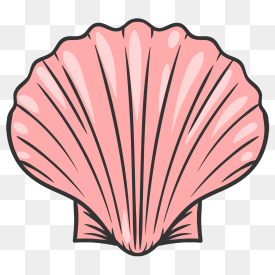 标签: 手绘贝壳简笔画