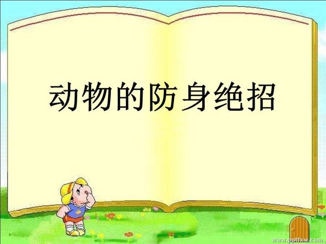动物的防身绝招.ppt