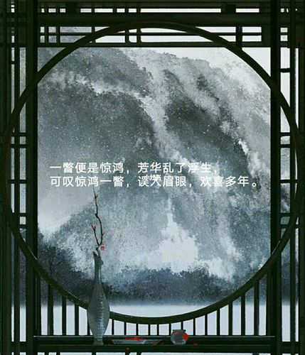 何来人间一惊鸿,只是世间一俗人._素材_文字素材