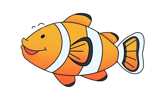 步骤七:涂上颜色,这样可爱的小丑鱼简笔画就完成了,希望大家喜欢这只