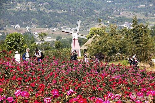 老摄协_奇芳花谷,石桥水乡采风纪实活动!2018.04.18.