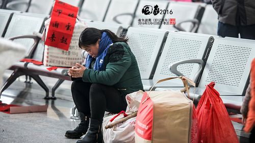 【回家】2016枣庄春运纪实 (共 40 p)