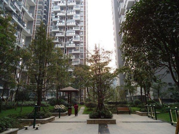 成都华宇-阳光水岸2008年度整合推广工作总结报告-37ppt